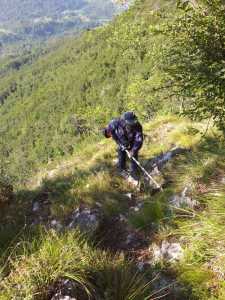 IMG-20200801-WA0015