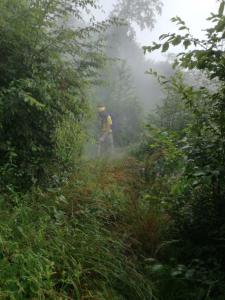 IMG_20200704_081500