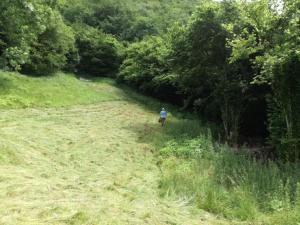 IMG_20200704_115925