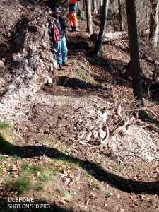IMG-20201121-WA0009