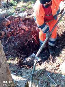 IMG-20201121-WA0018