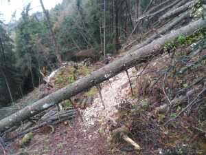 IMG-20201208-WA0029 - Copia