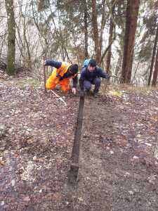 IMG-20201212-WA0006