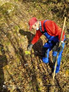 IMG-20201212-WA0010