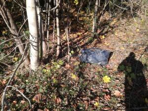 IMG_20201121_085734