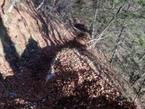 IMG_20201121_095104