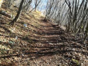 IMG_20201121_100353