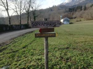 IMG_20201212_121827