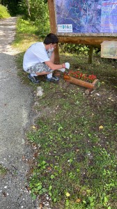 IMG-20210726-WA0009