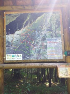 IMG-20210726-WA0013