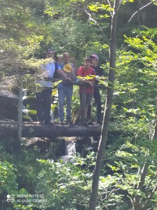 IMG-20210730-WA0009