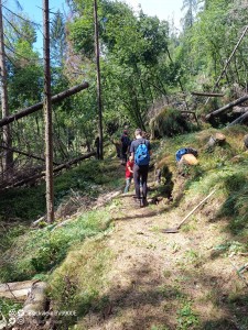 IMG-20210806-WA0007
