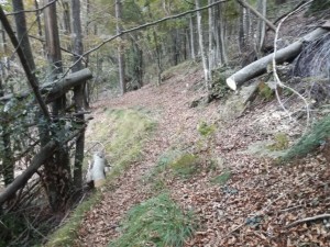 IMG_20211017_174038