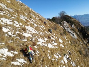 IMG_20211121_102829