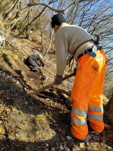 IMG-20220122-WA0007
