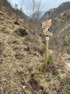 IMG-20220404-WA0012