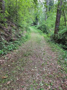 IMG-20220507-WA0015