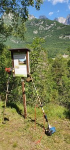 IMG-20220611-WA0014