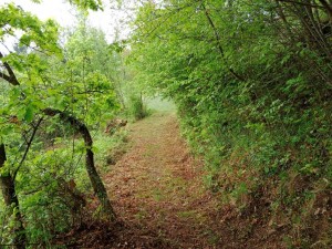 IMG_20220507_105518