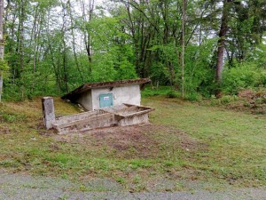 IMG_20220507_111558