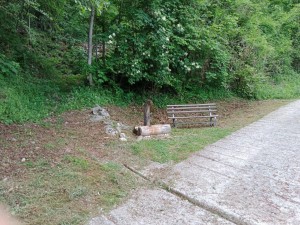 IMG_20220524_142628