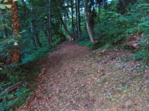 IMG_20220604_210143