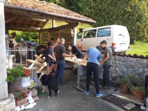 IMG-20220728-WA0013