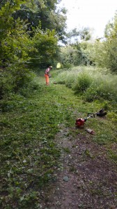 IMG-20220806-WA0012
