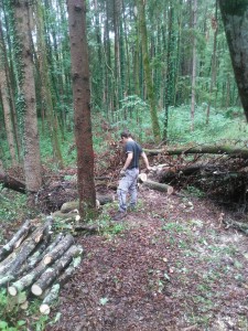 IMG-20220818-WA0004