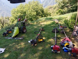 IMG_20220702_122205