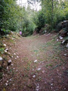 IMG_20220721_204923
