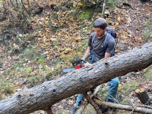 IMG-20221017-WA0044