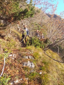 IMG-20221119-WA0007