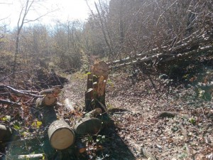 IMG_20221026_131801
