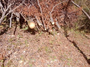 IMG_20221026_131809