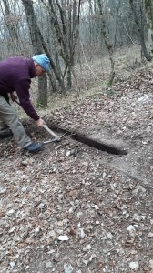 IMG-20230218-WA0007