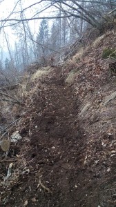 IMG-20230218-WA0011