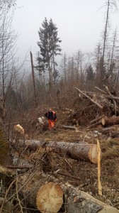IMG-20230218-WA0018