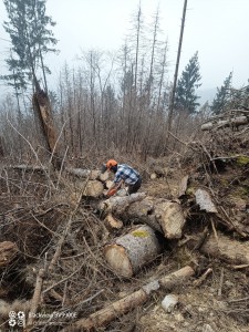 IMG-20230218-WA0037