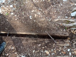 IMG-20230318-WA0007