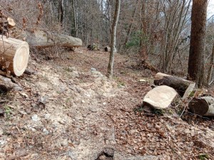 IMG_20230319_103511