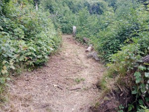 IMG_20260801_152242