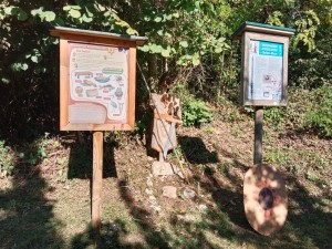 IMG_20261003_111413