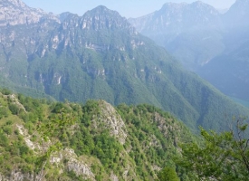 panorami