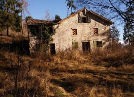 miscellanea di immagini